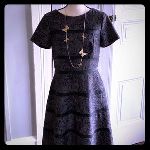 IVY+BLUE Black and Grey Dress - Perfect for Work